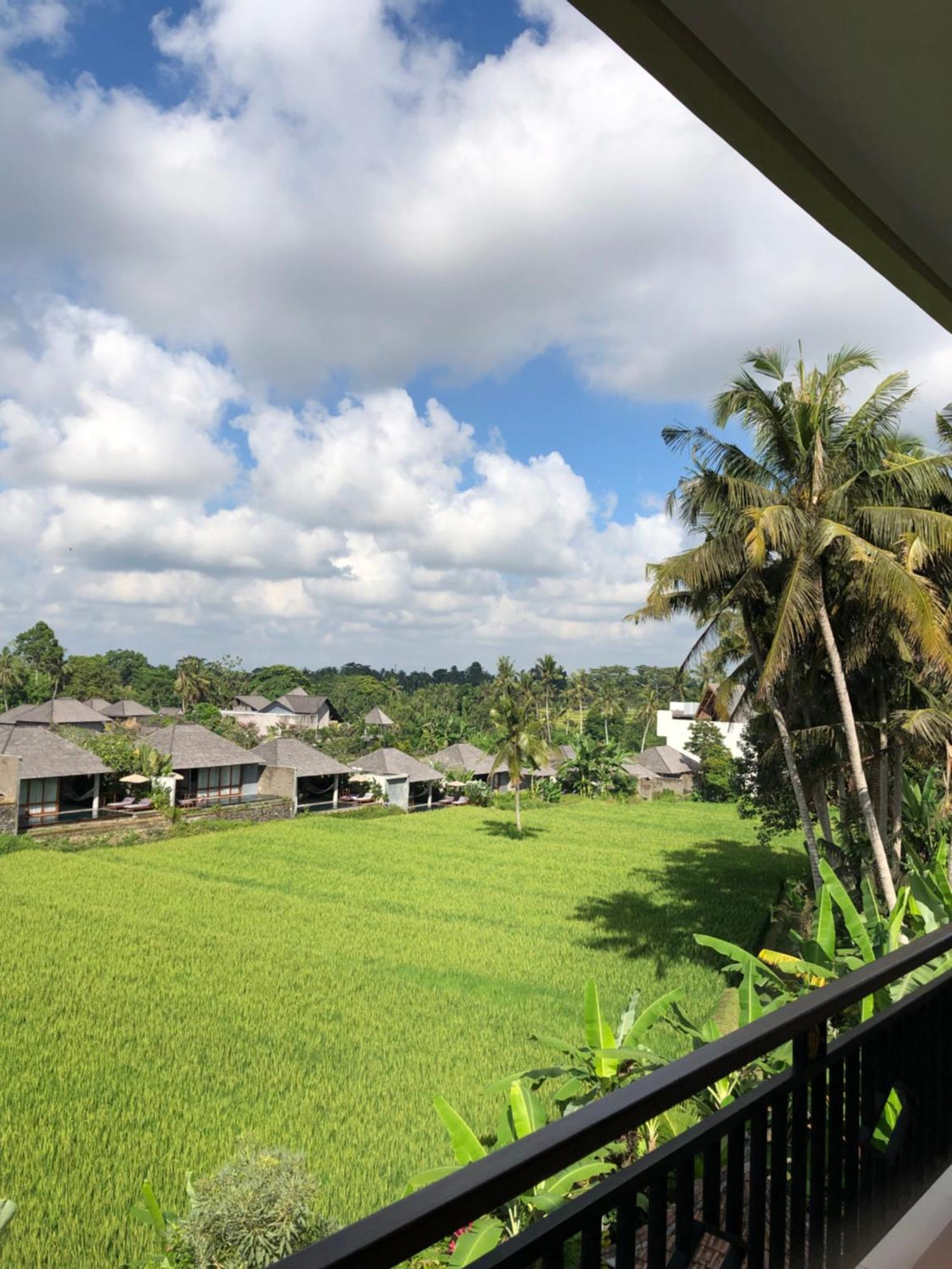 Mira Family Cottages Ubud  Bagian luar foto